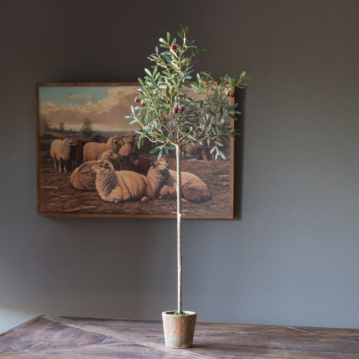 Olive Tree (small)